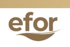 Our PlusMak References